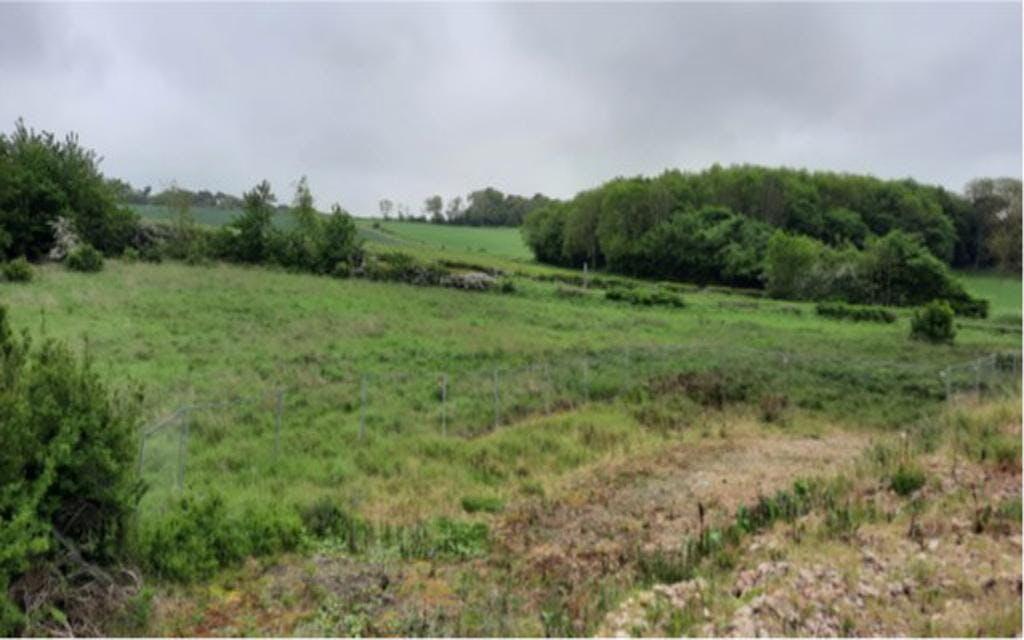 Picture 2 F .jpg