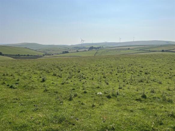Lot 11