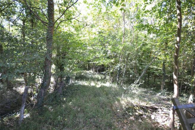 Woodland