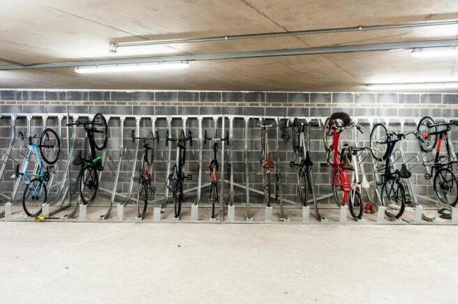 bikes.jpg
