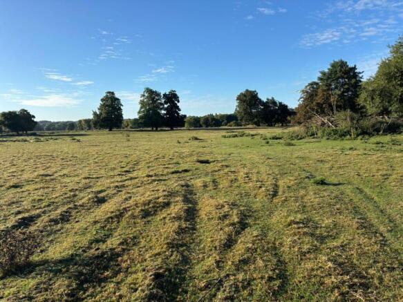 Land