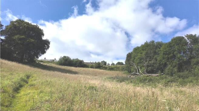 View Of Land