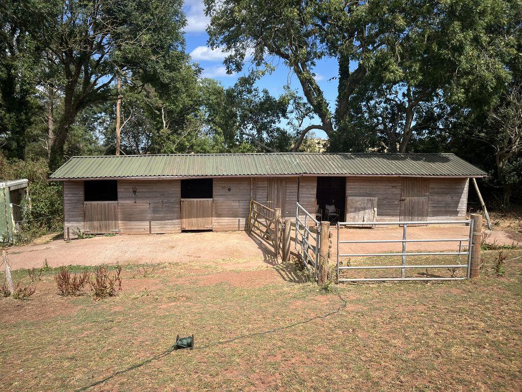 Main image of property: Land & Stables, Between Ridge Road & Gulmswell