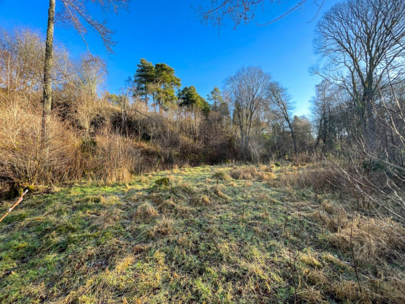 Ground Level View