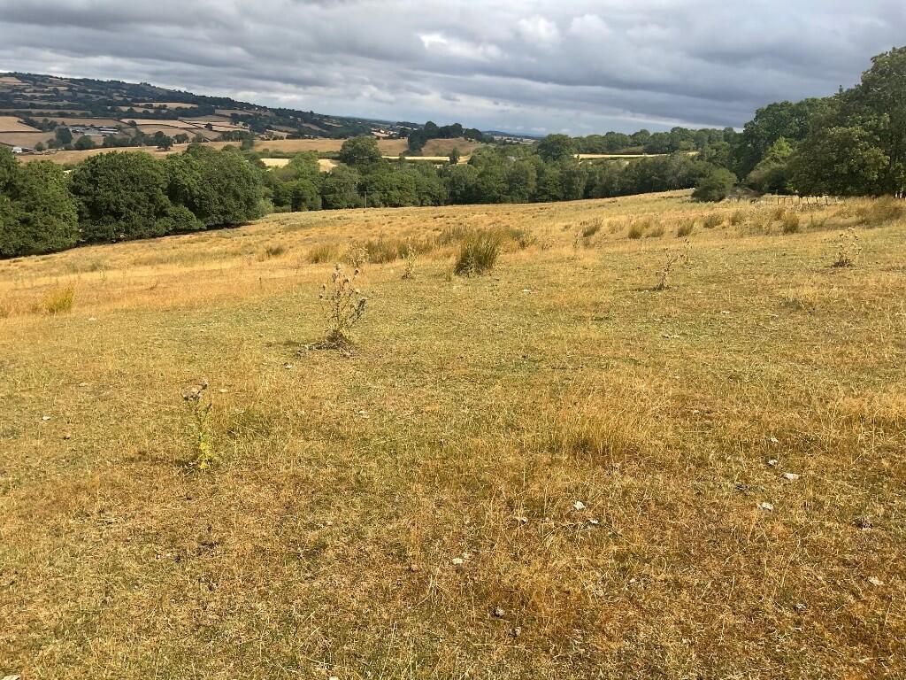 Main image of property: Part of Wood Farm, Penbidwal Lane, Pandy, Abergavenny, NP7