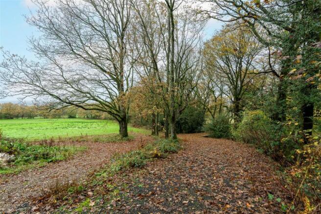 Grounds
