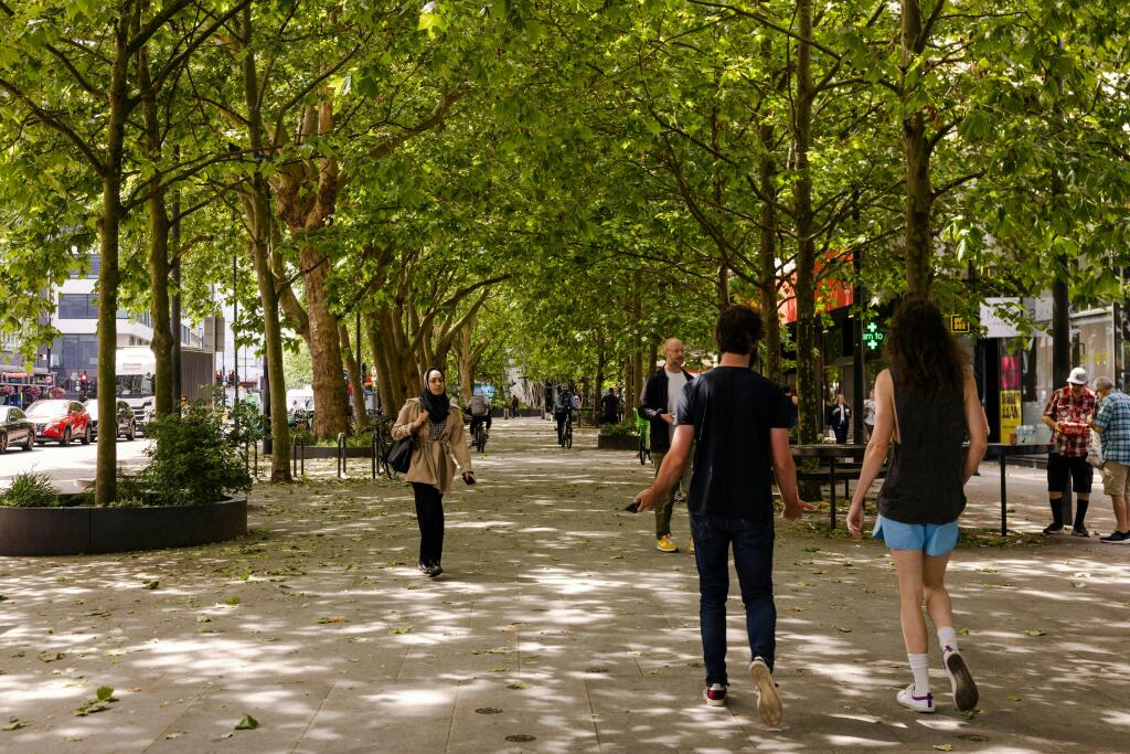 e1d42113f4ac57833cb4dfeae5bc9507-the-bower-hr77.jpg