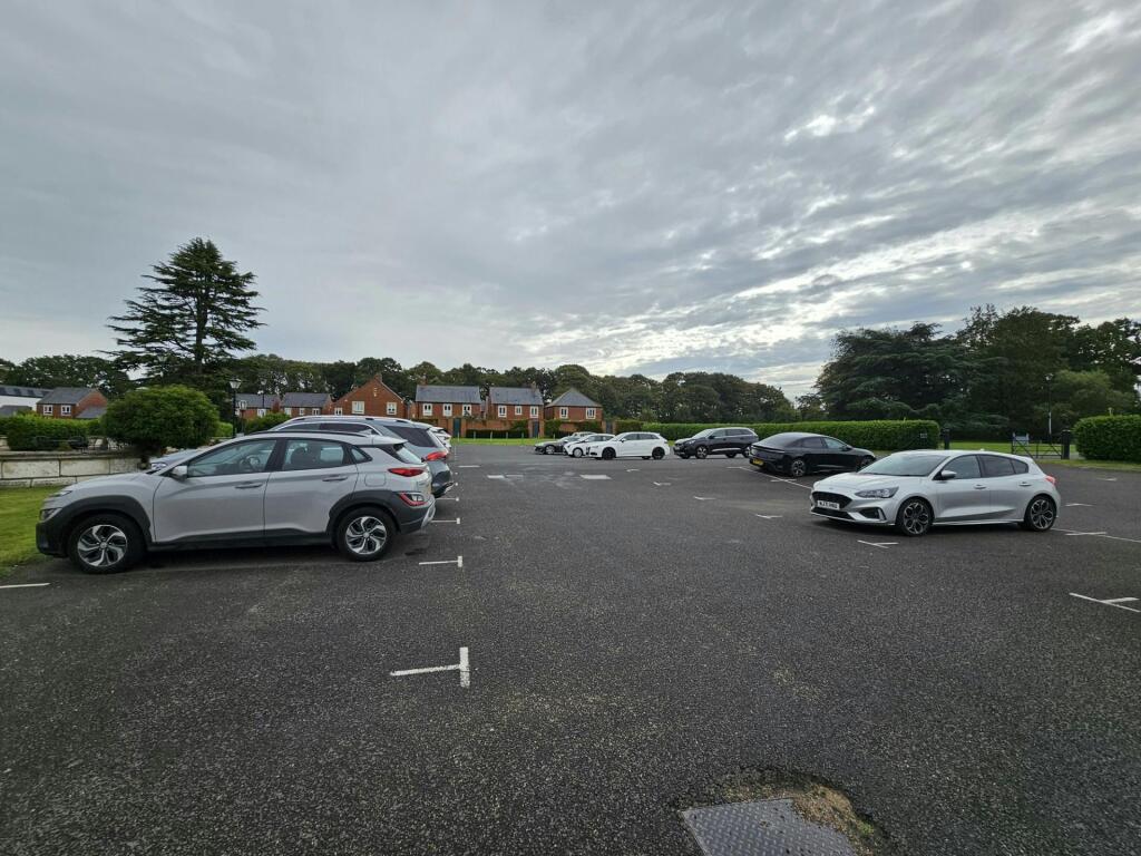 thumbnail_20250811_100145.jpg