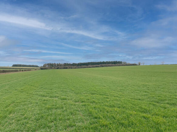 Lot 5 