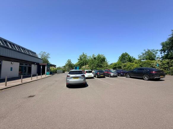 IMG_0597.JPEG