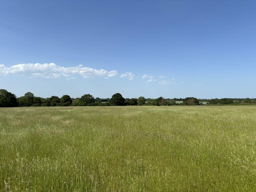 Main image of property: Grassland Off Jolly's Way, Walsham Le Willows, Suffolk, IP31 3DF