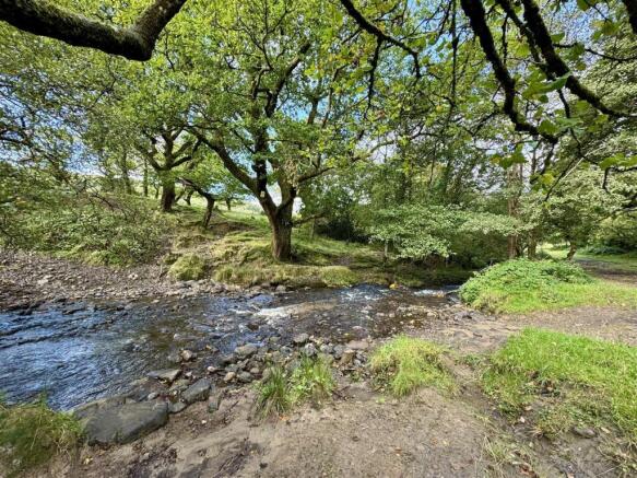 THE BROOK