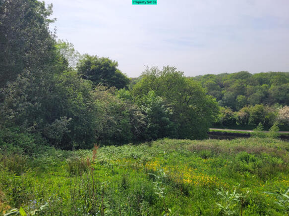 Plot 1 Area