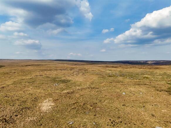 DJI_20250429160034_0721_D.jpg