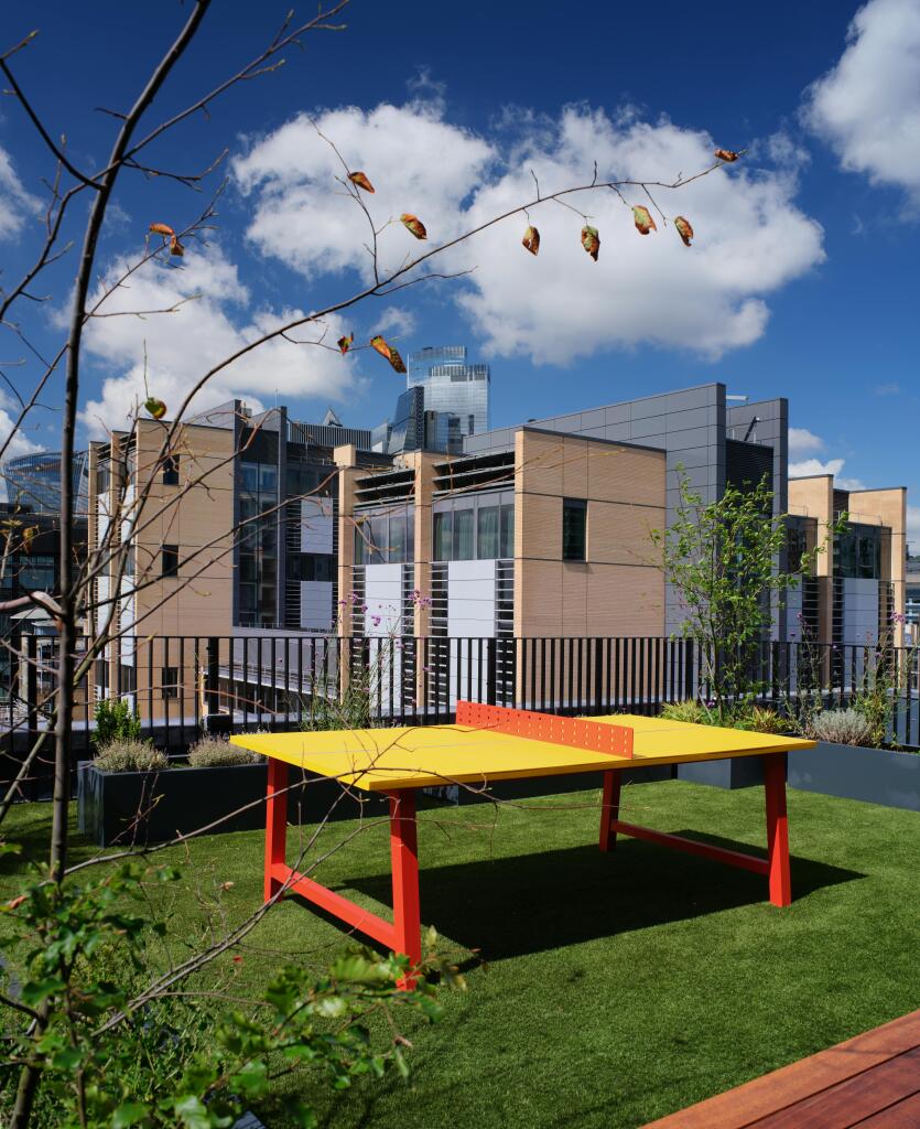 Communal Roof Terrace