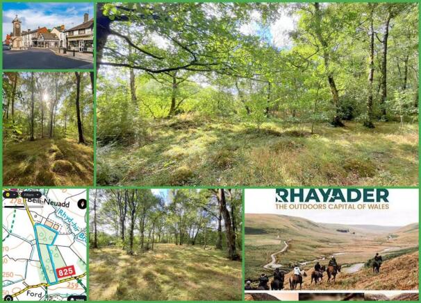 Land at Beili Neuadd Collage.jpg