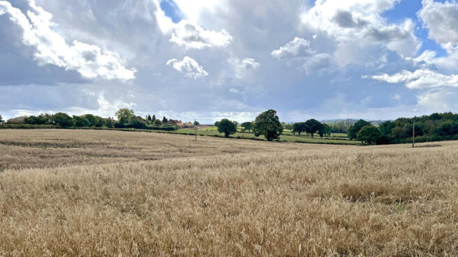 Barnsfield in Alvechurch, Birmingham