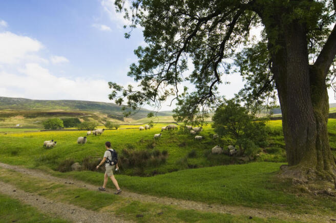 Local walking
