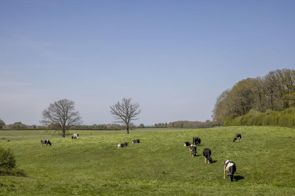 Land opposite Barrs Farm