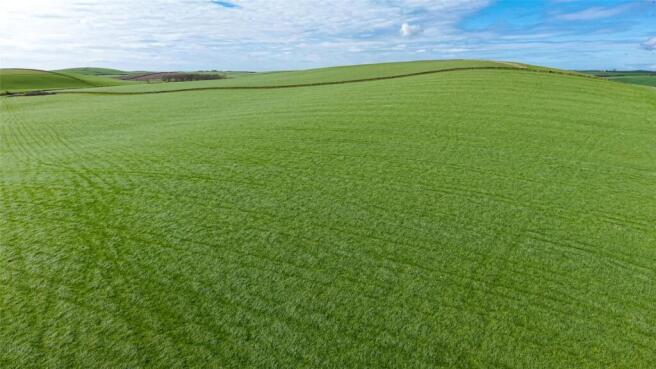 Silage