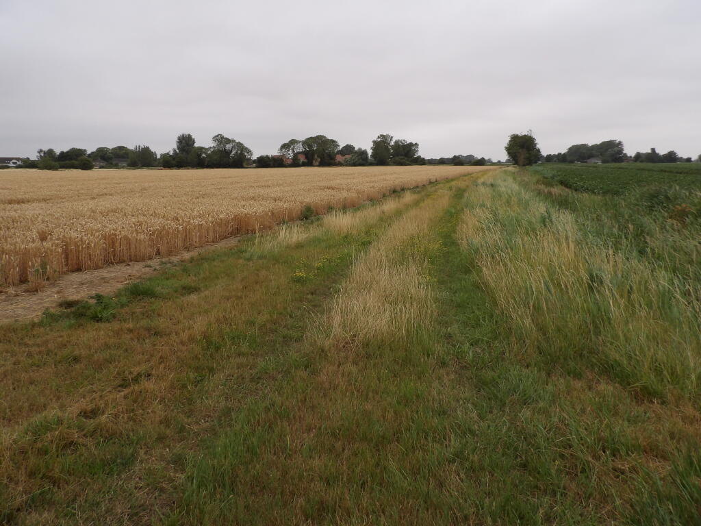 Main image of property: Arable land at Tydd St Giles