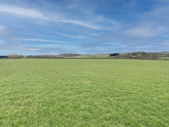 Lot 5 