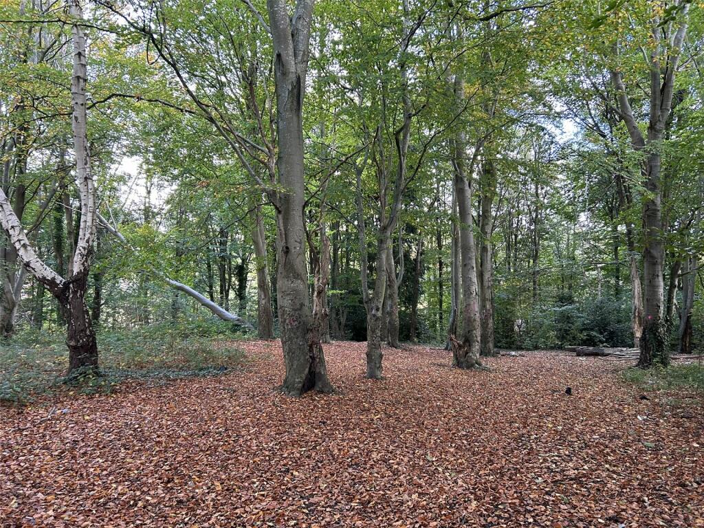 Main image of property: St Anne's, Bristol, BS4