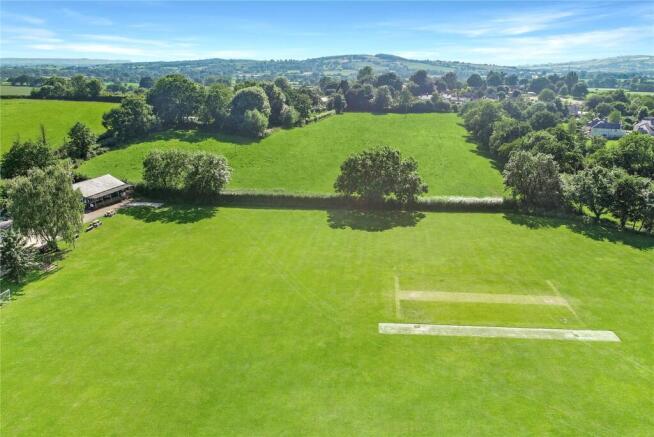 Cricket Field View