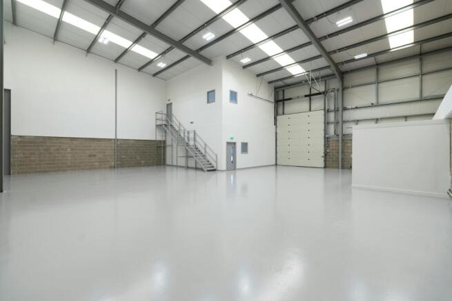 IW260325CAE10037.jpg
