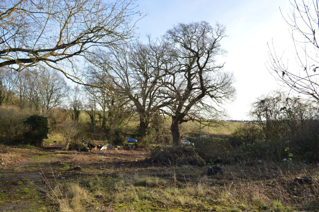 View across site