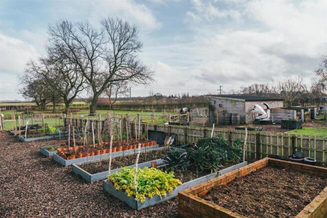 Vegetable Garden