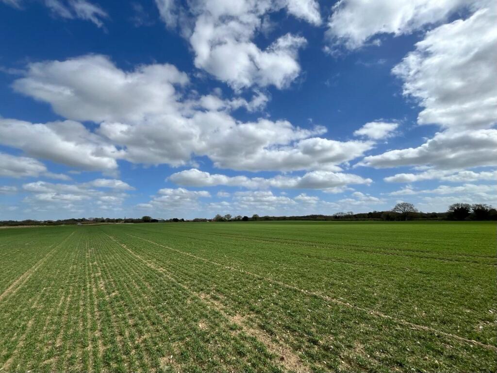 Main image of property: Old Buckenham, Attleborough, Norfolk, NR17