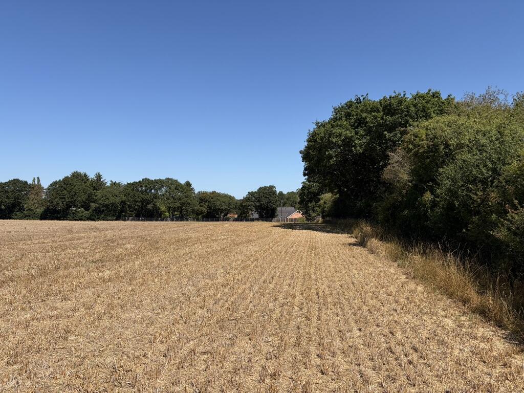 Main image of property: Lot 2 - Land At Costessey, Ringland Lane, Costessey, Norwich, Norfolk, NR8 5BG
