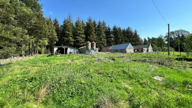 neuk garden.png