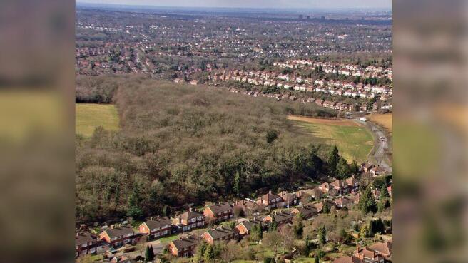 London Woodland.