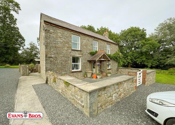 IMG_2365.jpg