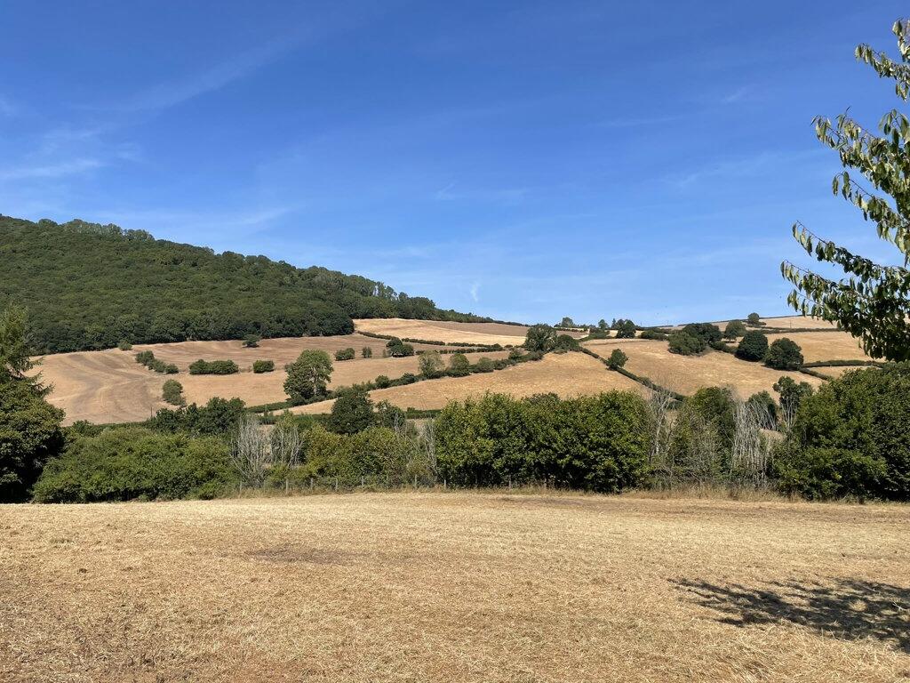Main image of property: Land at Chapel Lawn, Bucknell, Shropshire, SY7 0BW