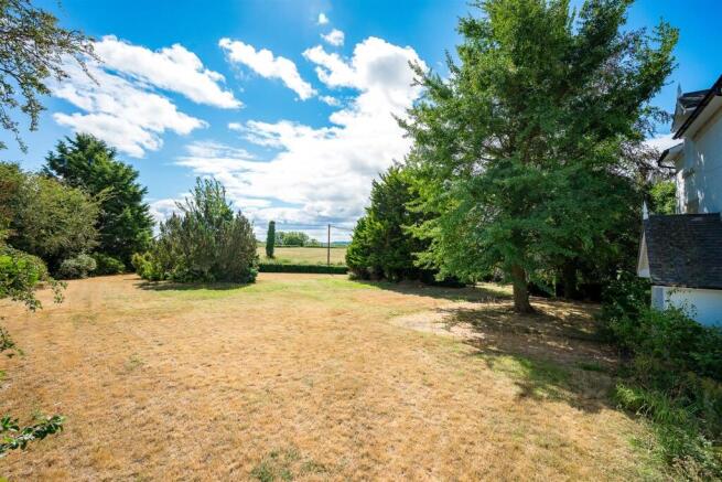 Garden/view