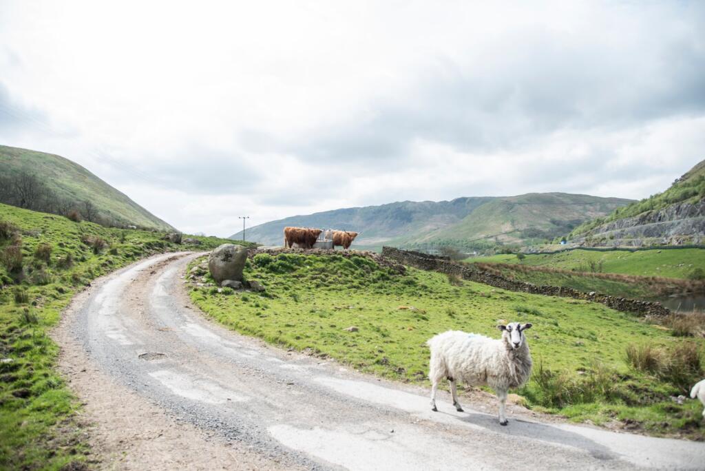 Main image of property: Lot 2: Brockholes Farm Holiday Cottages, Tebay, Penrith, Cumbria, CA10