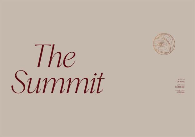 The Summit