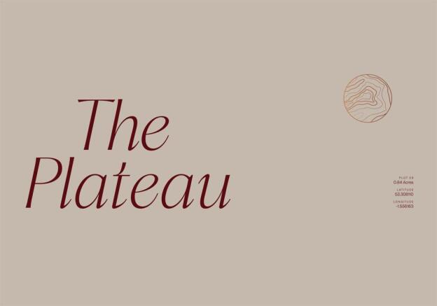 The Plateau