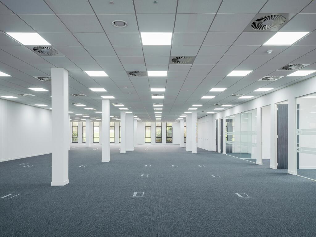 RFP_M_Harlow_6000px8652.jpg