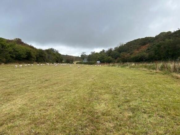 Image 2 -Bryn Crin land