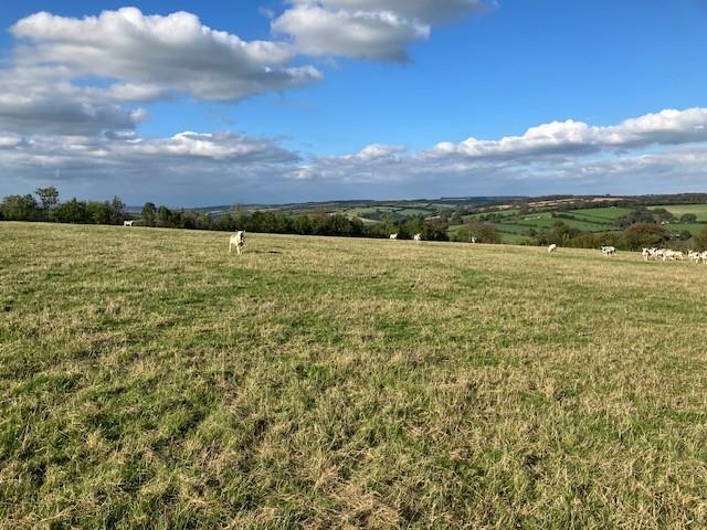Main image of property: Land near Stockham Farm, Dulverton