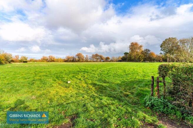 Field
