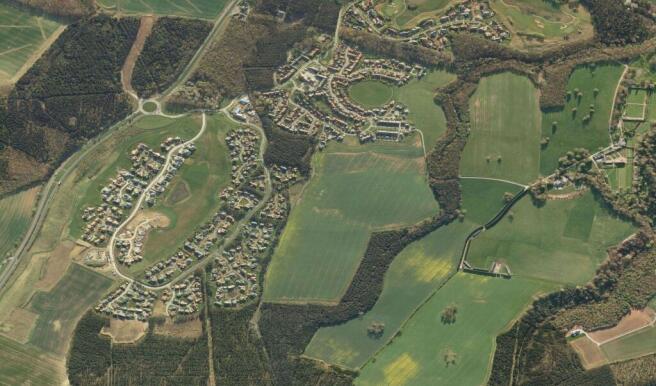 birds eye 2.JPG