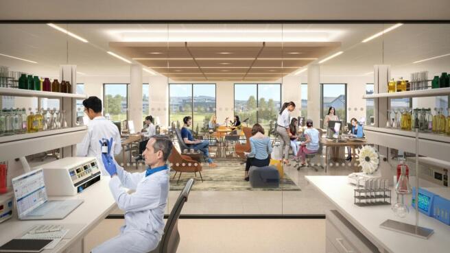 View01Dayinternal.jpg