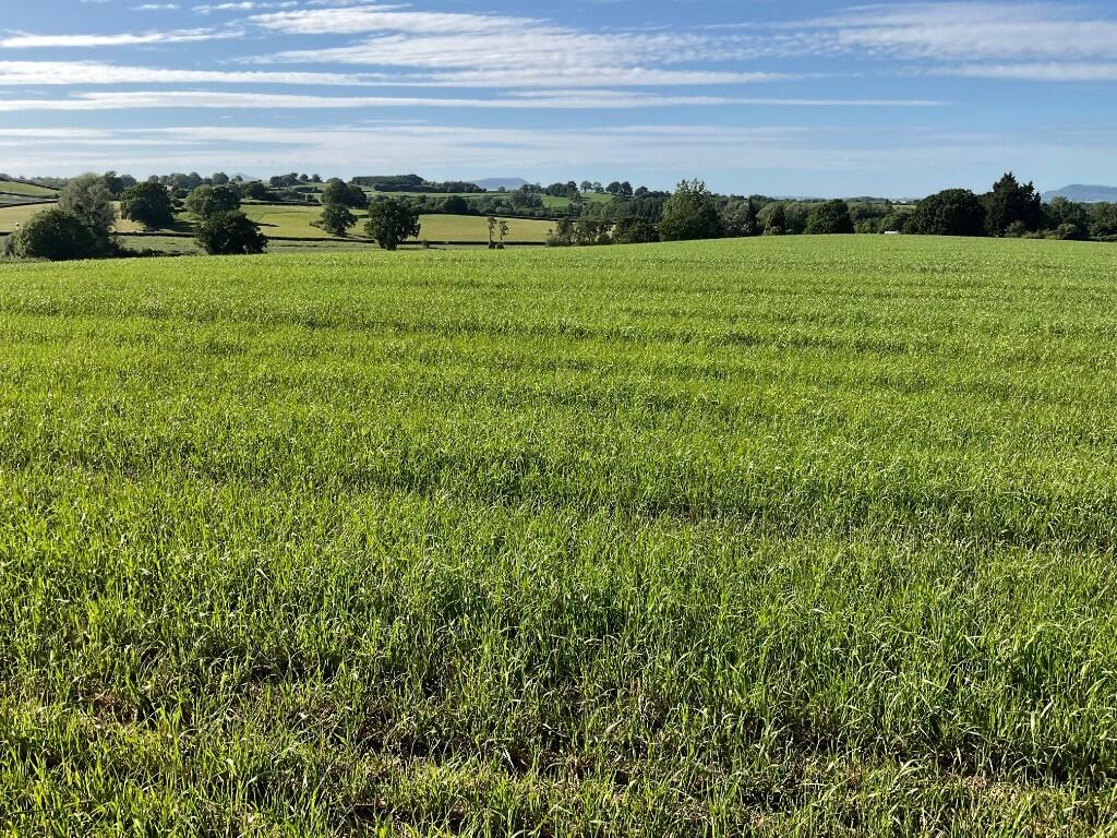 Main image of property: Lot 1: Land Formerly Part of Berllanderi, Raglan, Usk